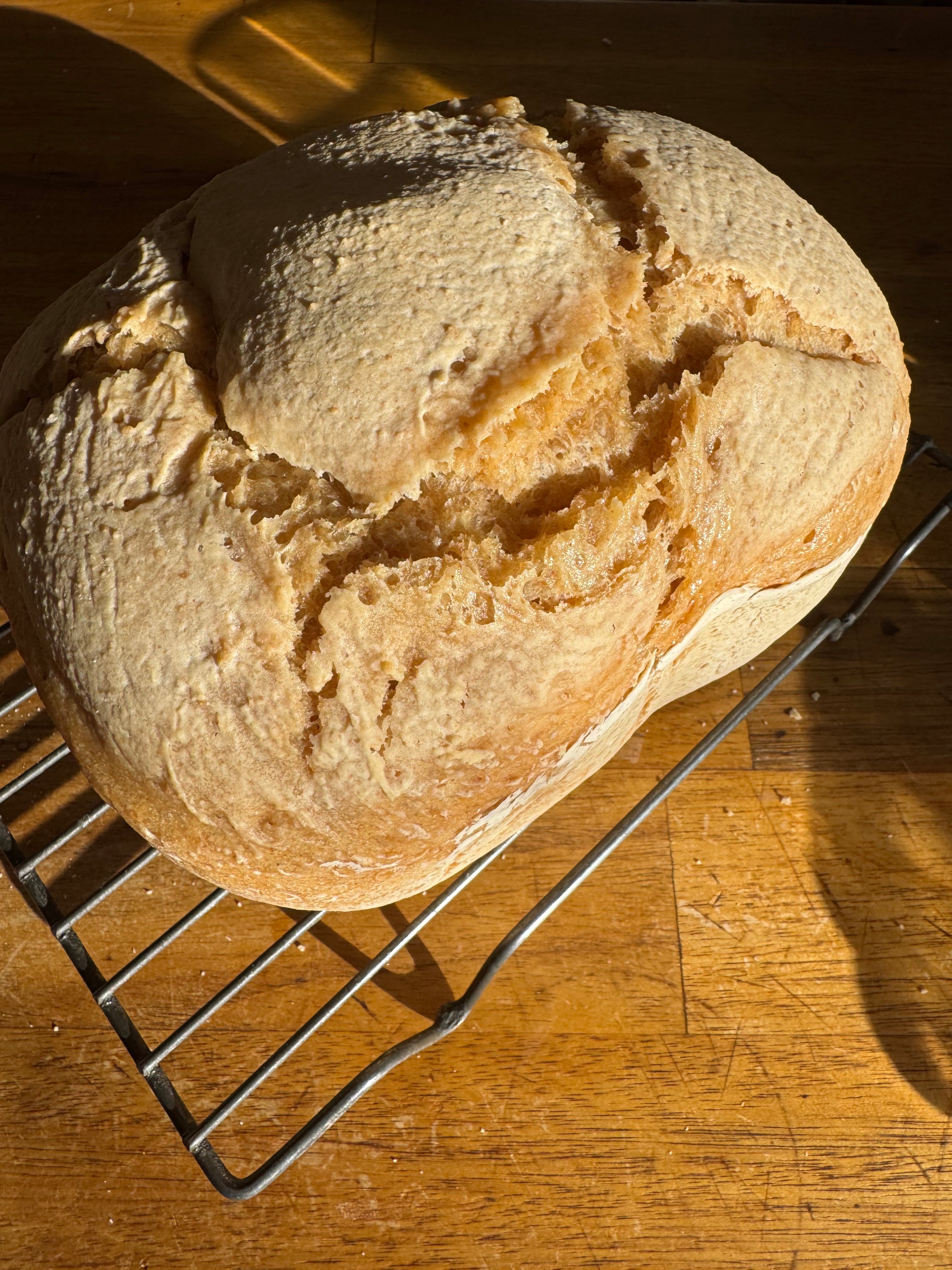 gluten free bread from bread maker, yomo gluten free bread mix, coeliac safe bread mix, gluten free baking