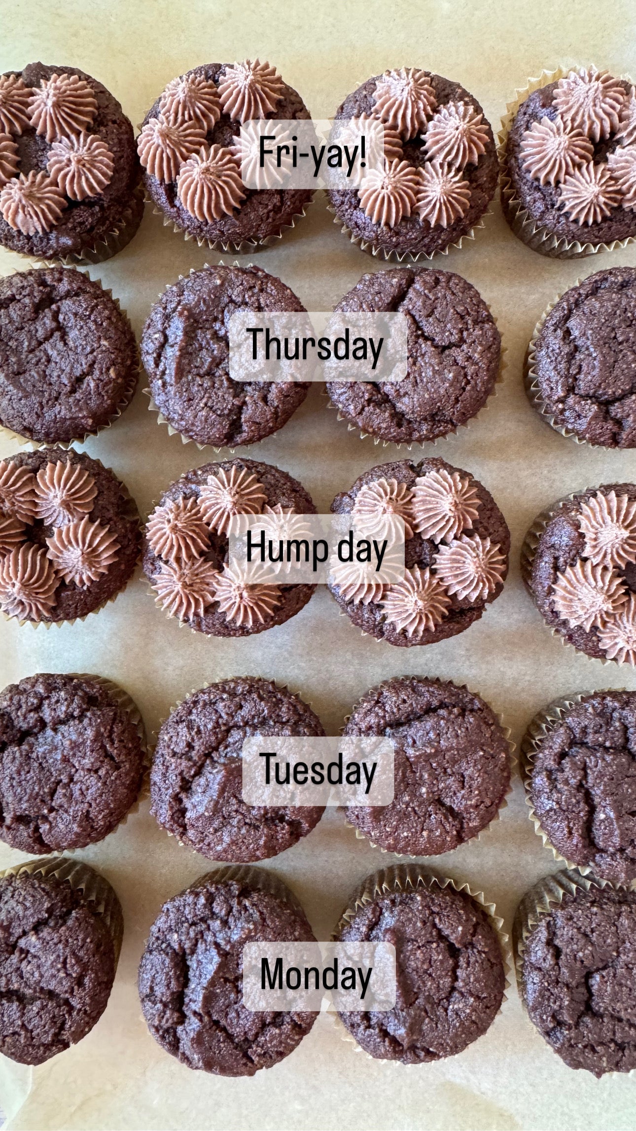 Mini choc muffins gluten free, mini gluten free muffins, kids gluten free snacks, freezer snacks