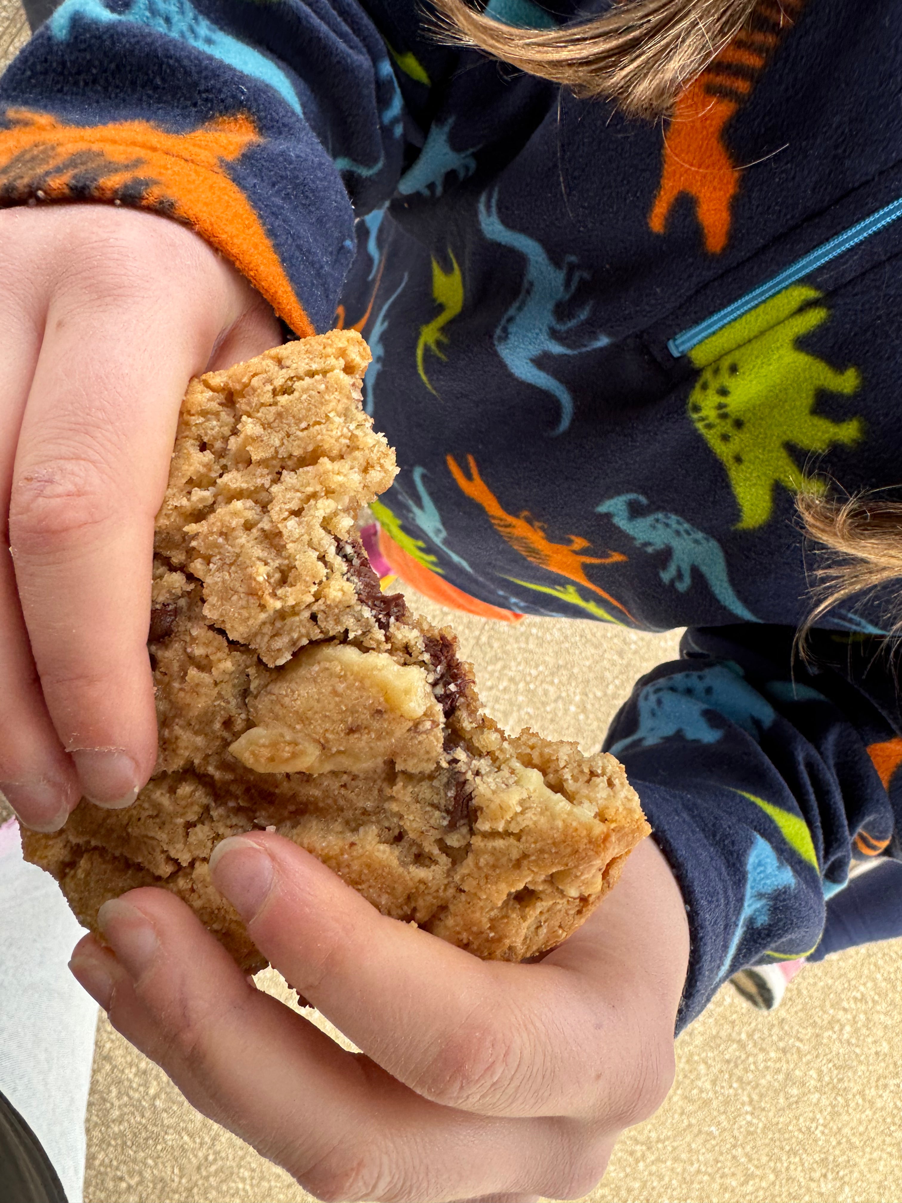gluten free vegan cookie, gluten free vegan biscuit, gluten free baking for kids, gluten free snacks for kids
