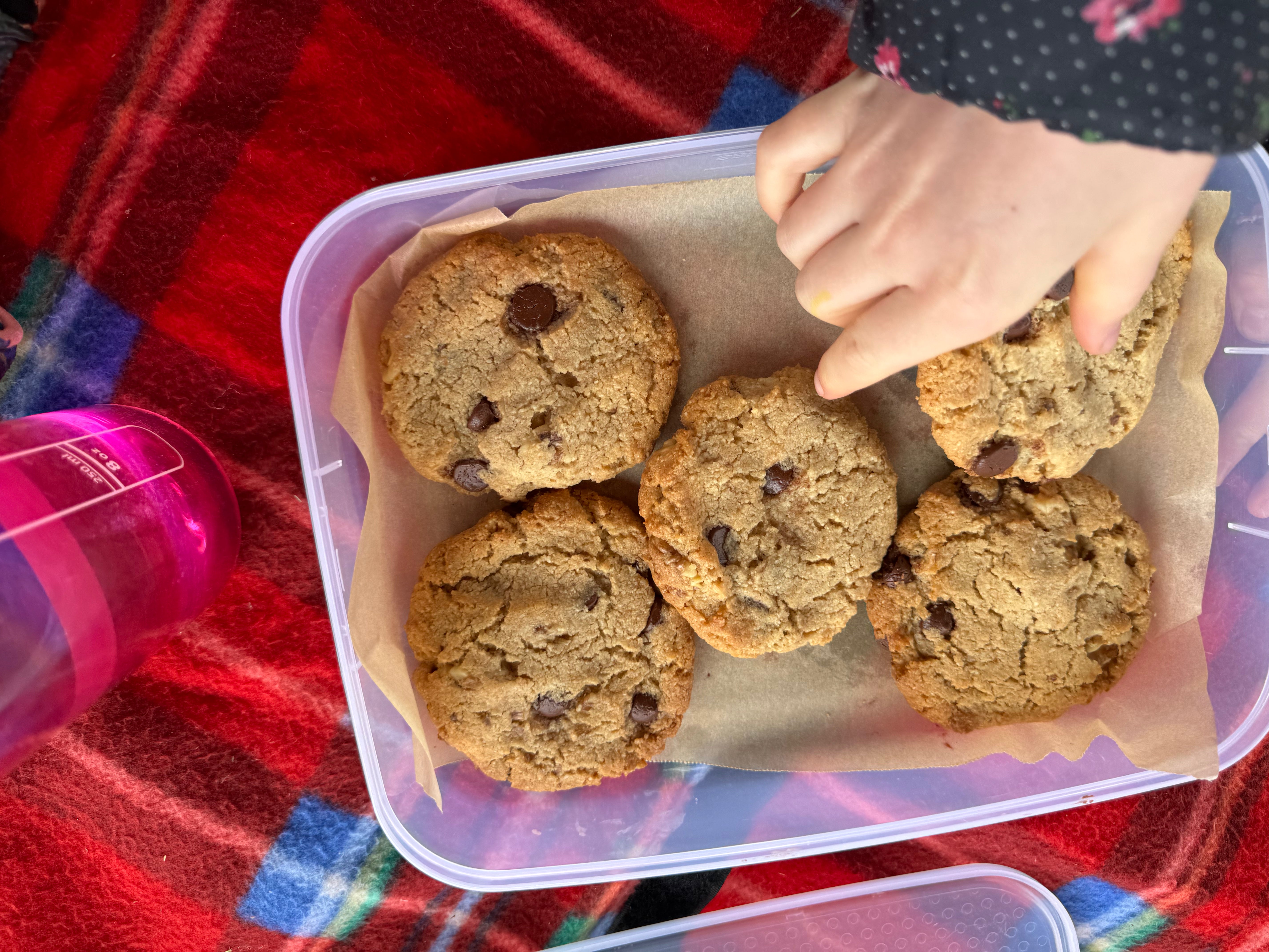 YOMO gluten free cookies at a picnic, gluten free biscuits, gluten free vegan baking, gluten free baking with kids