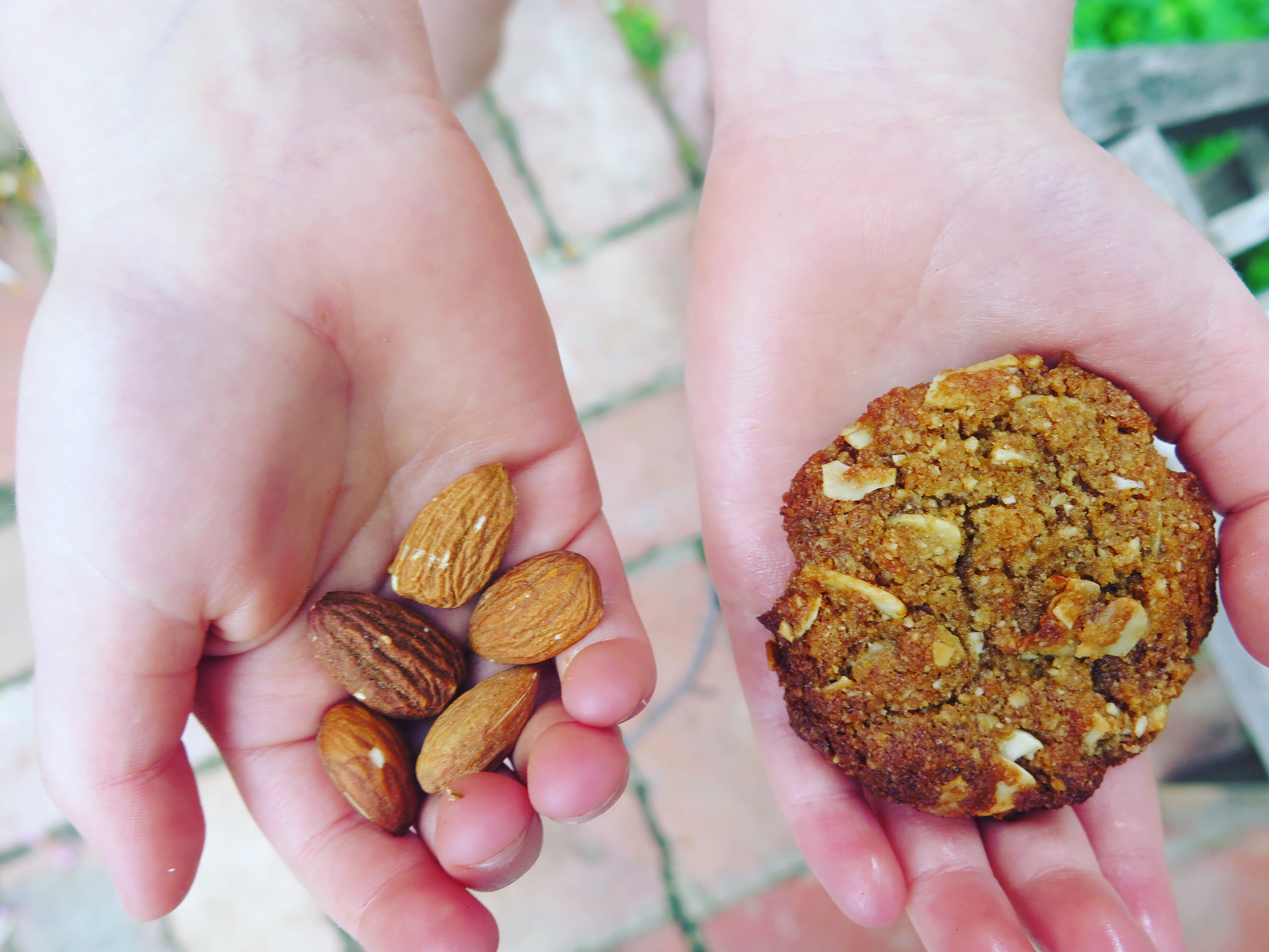 Gluten free ANZAC biscuits, gluten free cookies, gluten free baking with almond, little hands holding gluten free cookie made with almond