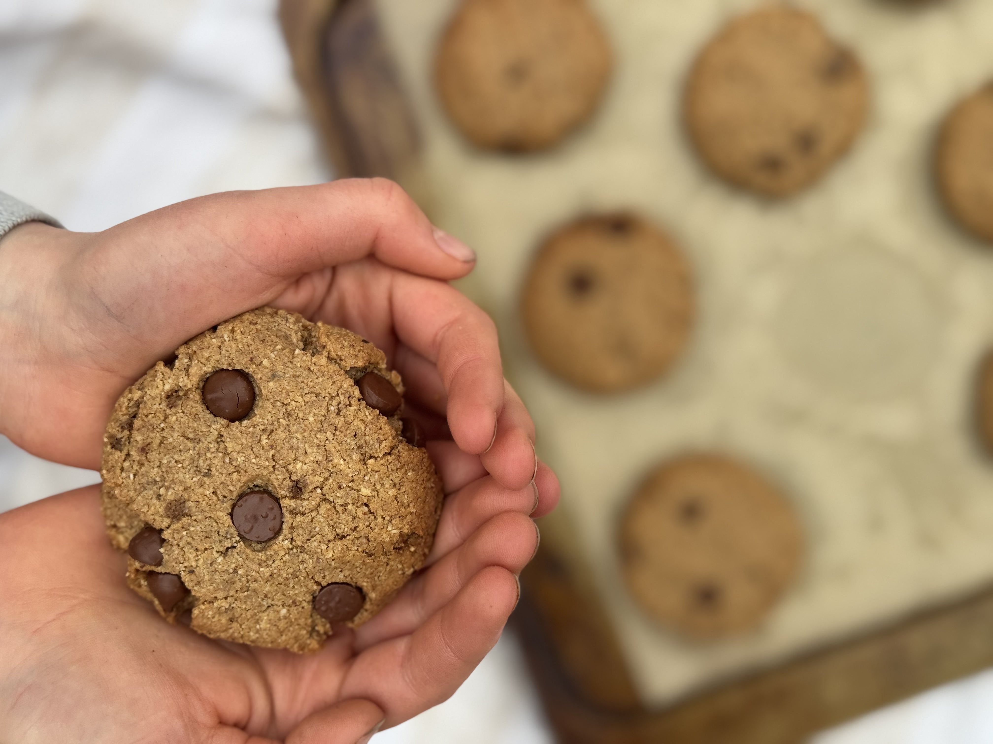 choc chip gingerbread, gluten free baking, olive oil baking, gluten free recipes, gluten free gingerbread